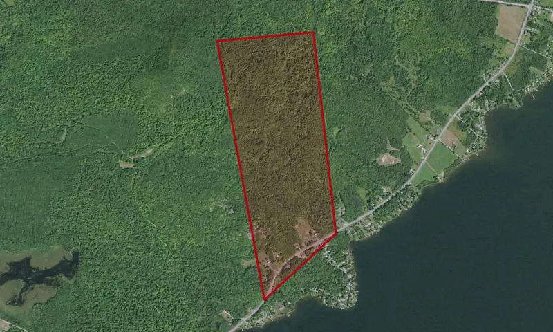 Chazy Highlands State Forest