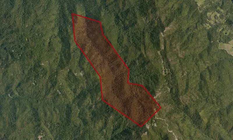 Elder Creek Trib (Paralyze)