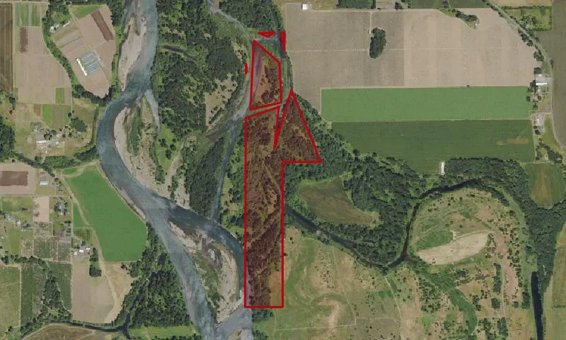 Gravel Bar Landing Willamette River Greenway