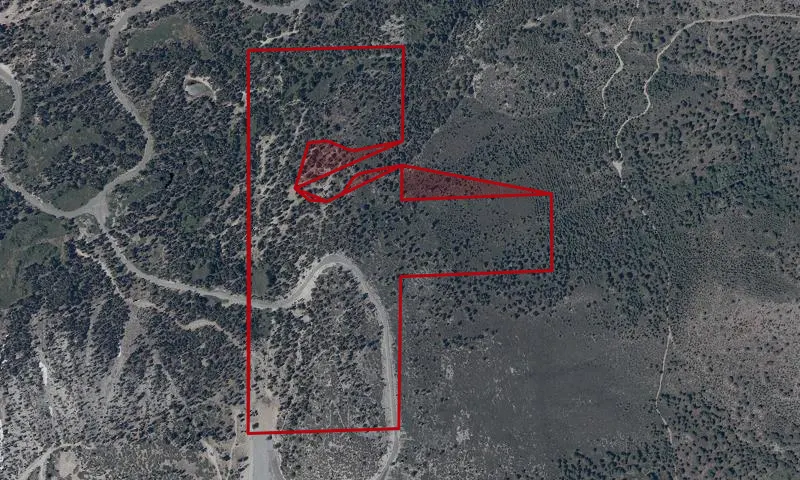 Slide Mountain Ski Area