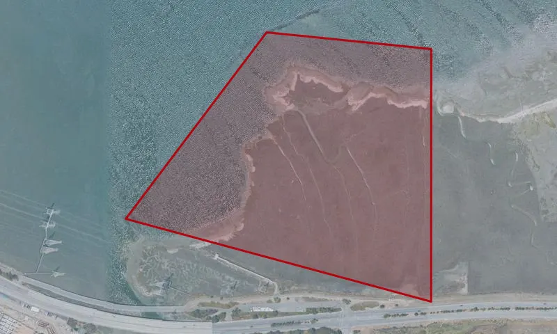 Bay Marshes Open Space
