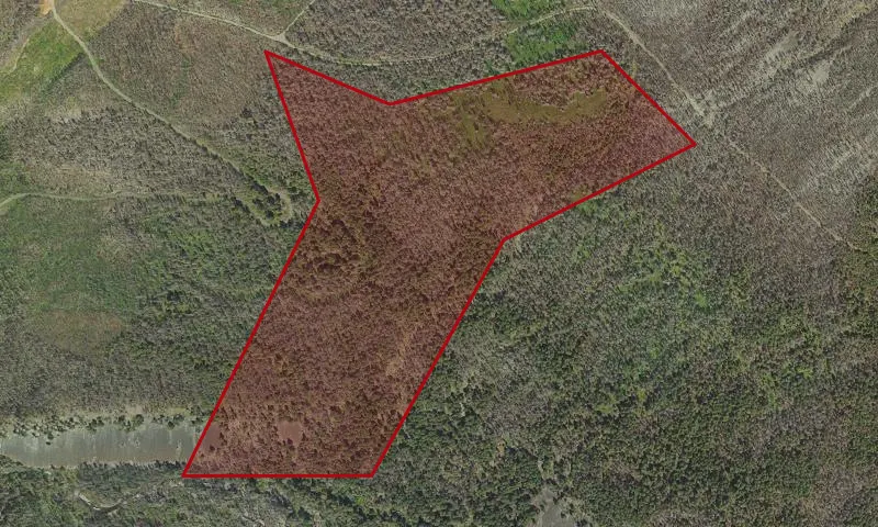 Mt. Jefferson Addition Roadless Area