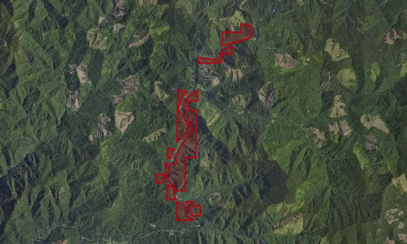 Weyerhaeuser Deed