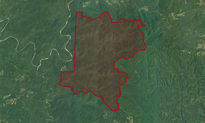Leatherwood Wilderness
