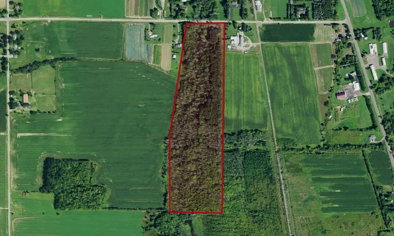 North Collins Water Works Land