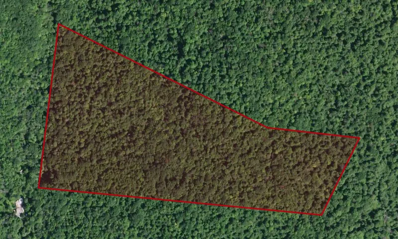 Kingston Water Supply Land