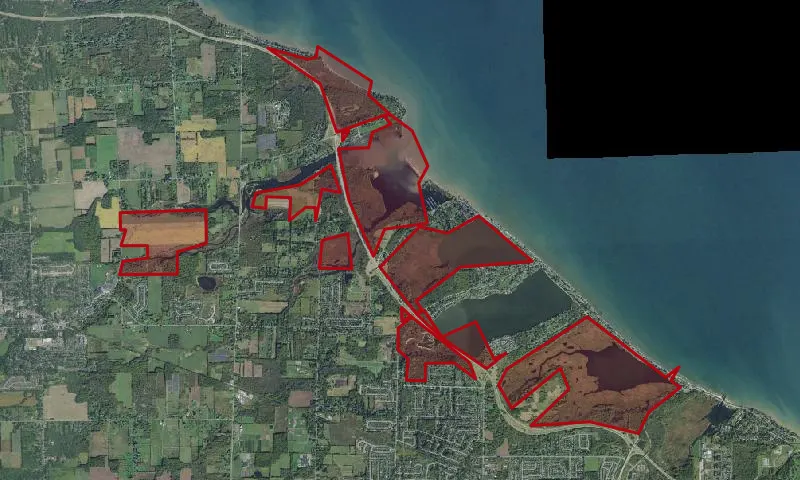 Braddock Bay Wma