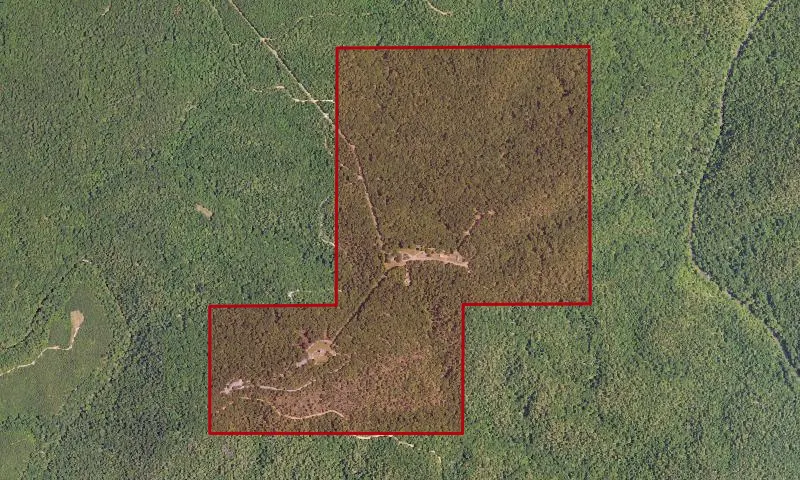 Weogufka State Forest
