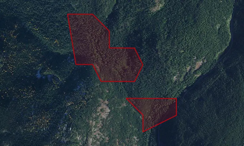 Roosevelt Grove Of Ancient Cedars Scenic Area