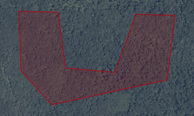 Bat Wing Cave Forestry Management Area