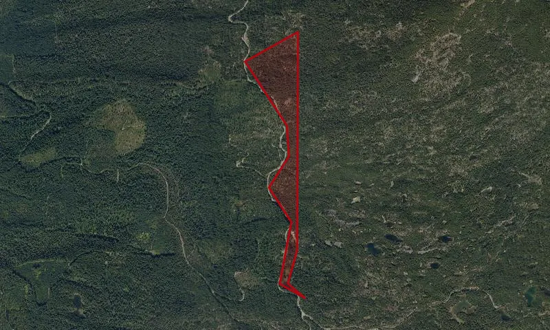 Diamond Peak, South Roadless Area