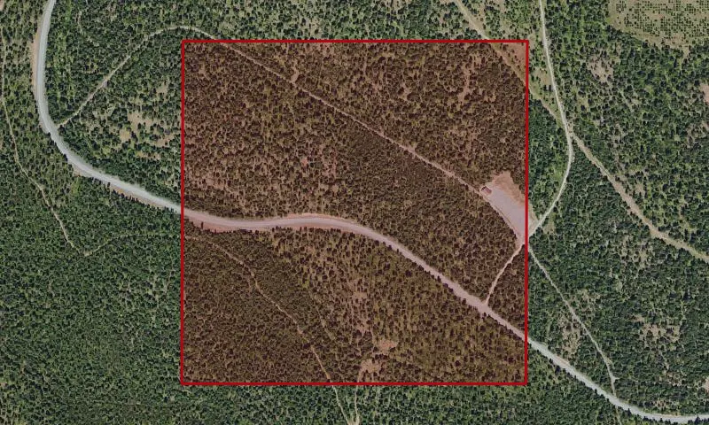 Road Creek Spot Thinning Experimental Research Area