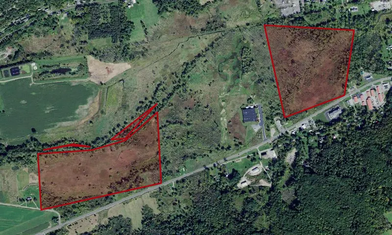 Cold Brook Wma