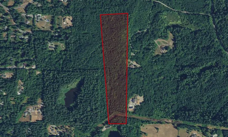 Bass Lake Complex Natural Area 1