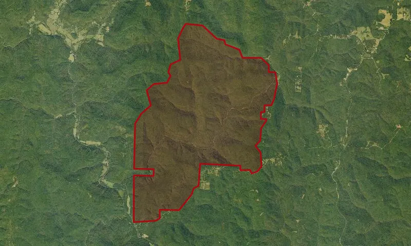 Hurricane Creek Wilderness