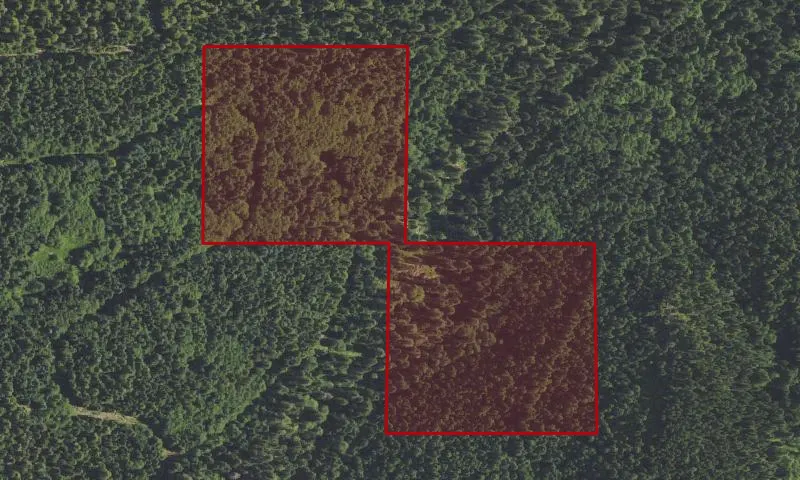 Clear Creek Logging Experimental Research Area