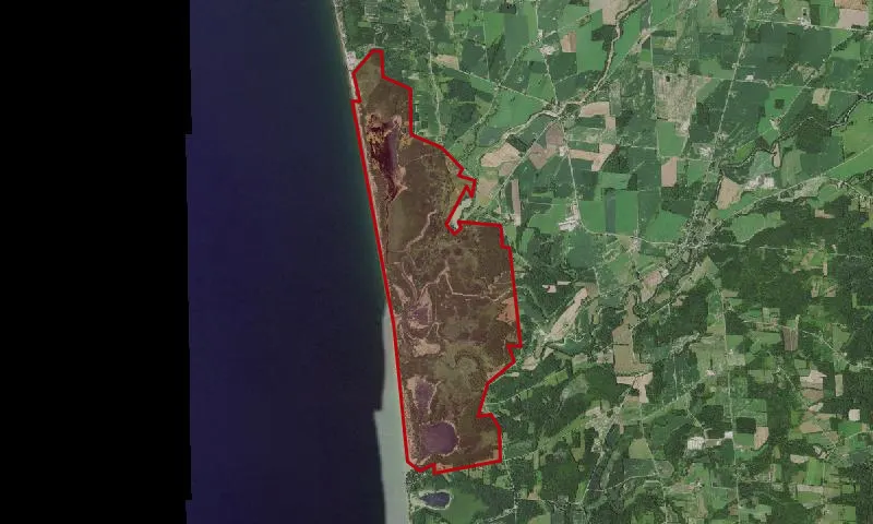 Lakeview Wma