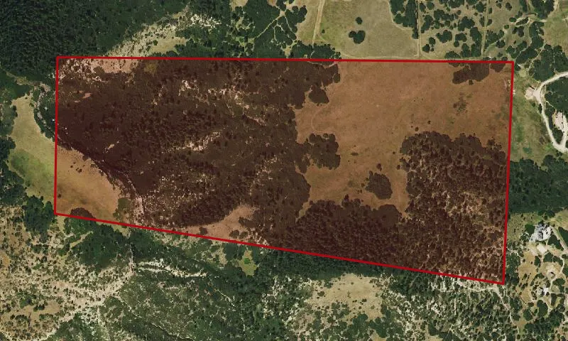 Dawson Butte - Phase I
