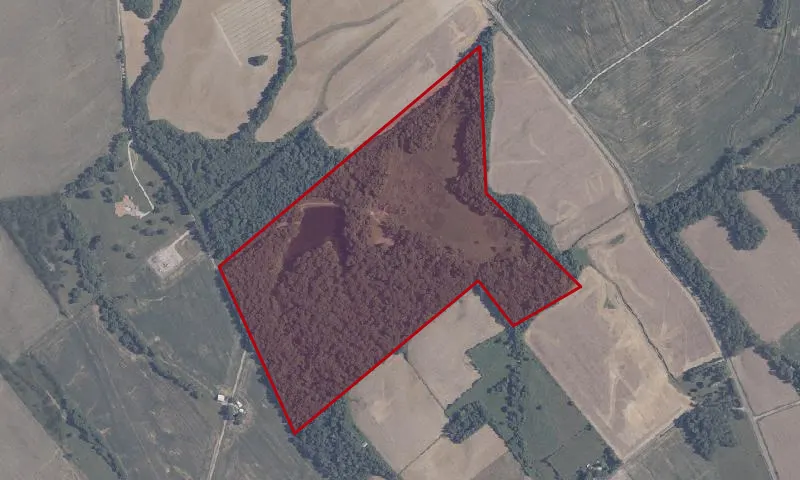 White Oak Public Access Site/ Public Fishing Area