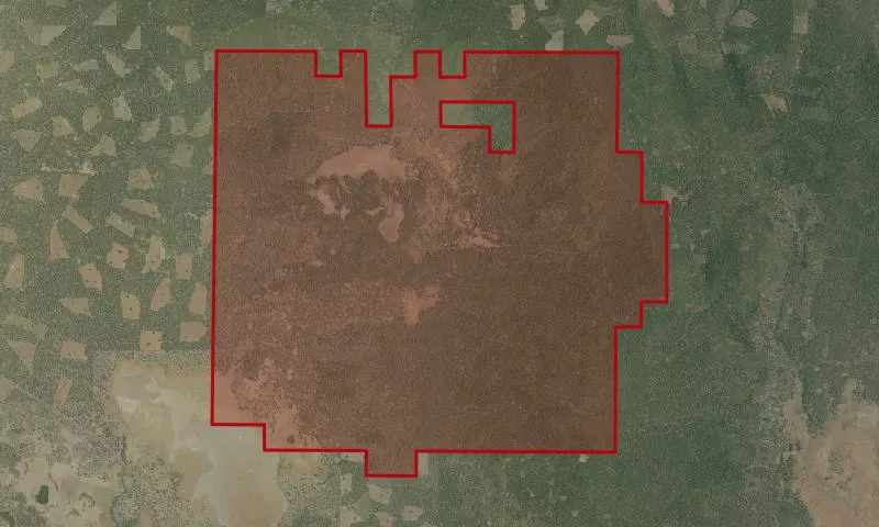 Blacks Mountain Experimental Forest