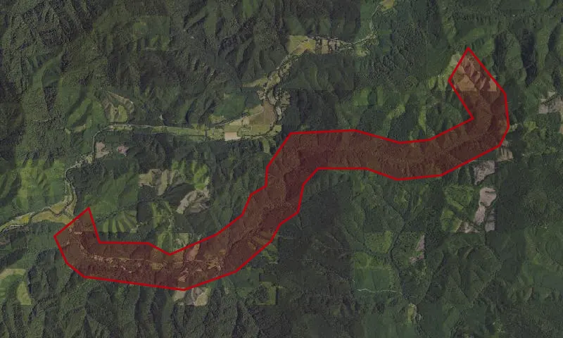 Nelson Creek