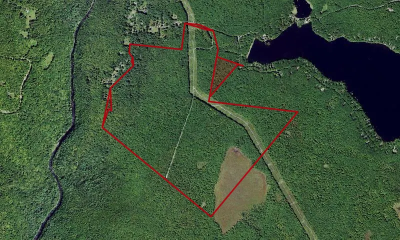 Wolf Brook Multiple Use Area