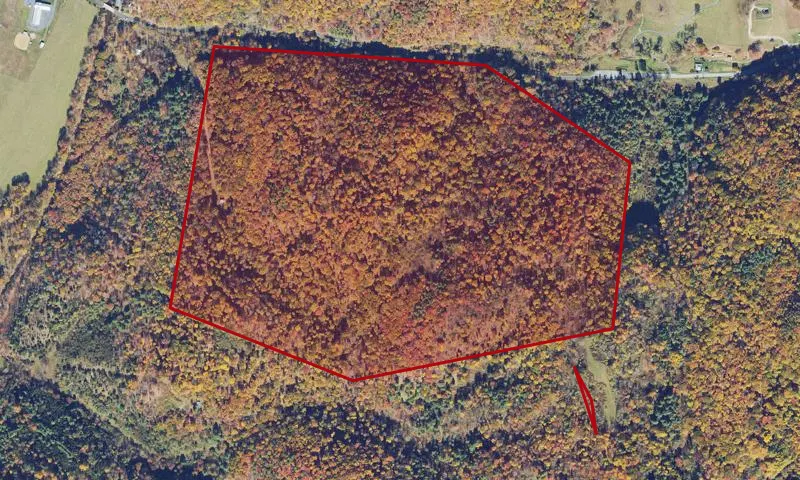 Mcdowell Battlefield Park