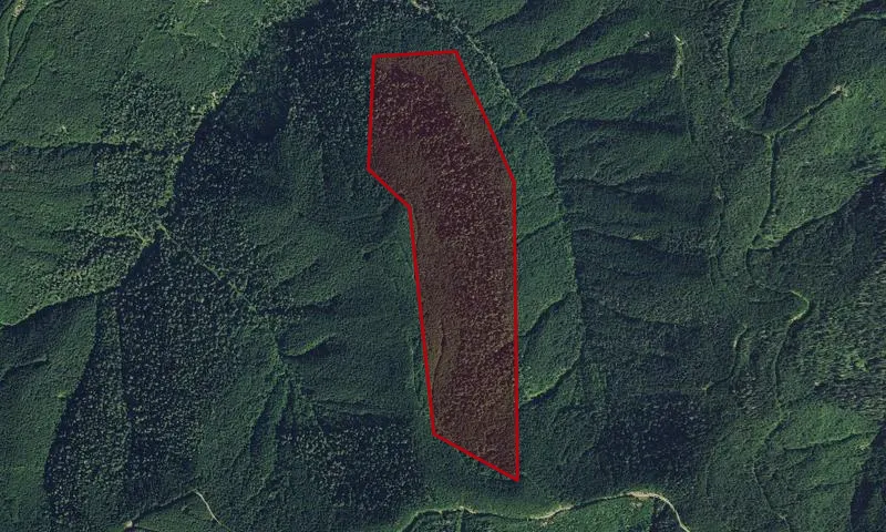 Matheny Prairie Old Western Red Cedar Botanical Area