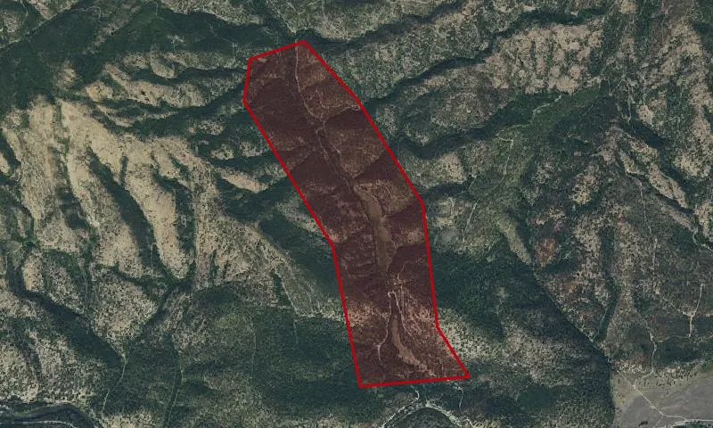 Belmont Creek