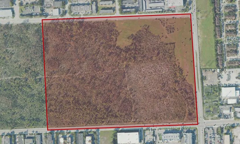 Tamiami #8 (Nixon Smiley Addition) Pineland