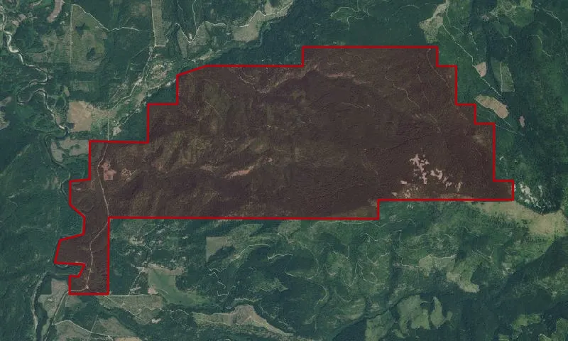 Priest River Experimental Forest Experimental Forest