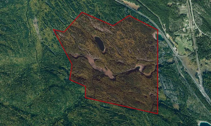 Hidden Lake Botanical Area