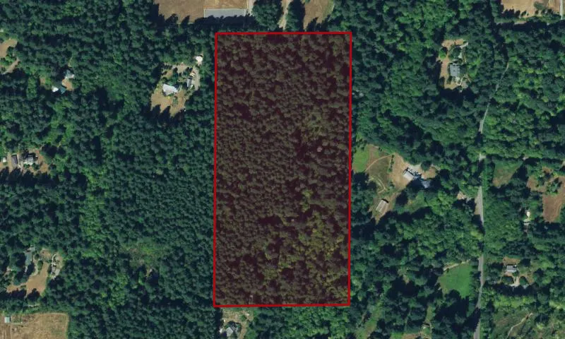 Fisher Creek Forest