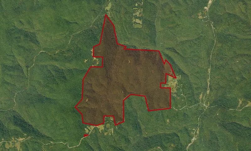 Hurricane Creek Roadless Area