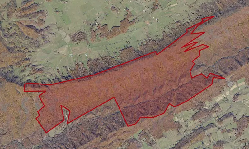 Garden Mountain Roadless Area