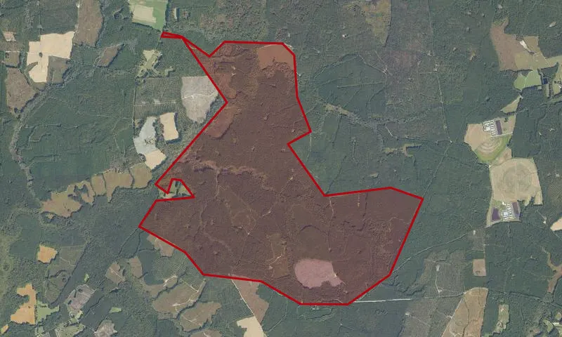 Big Woods State Forest