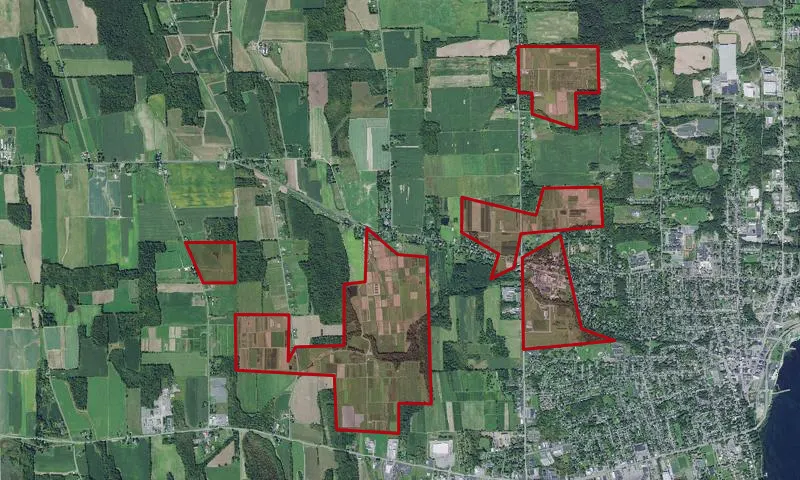 State Agricultural Experiment Station
