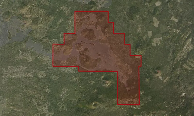 Lava Cast Forest Geological Area