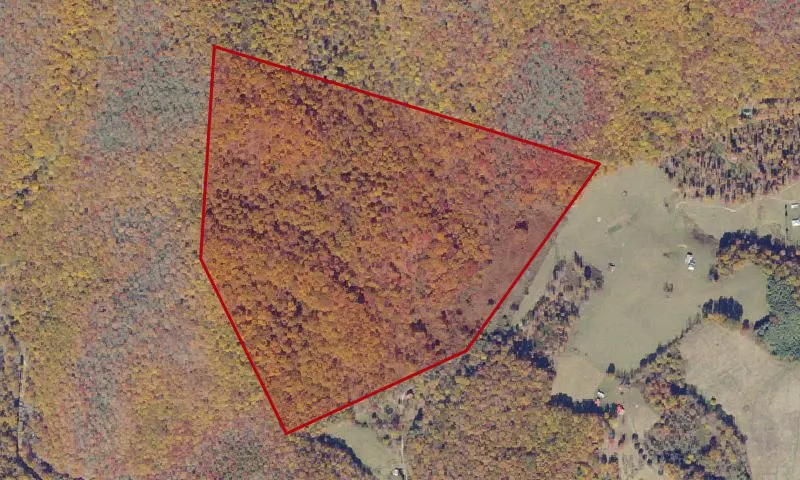 Little Wilson Creek Addition A Roadless Area