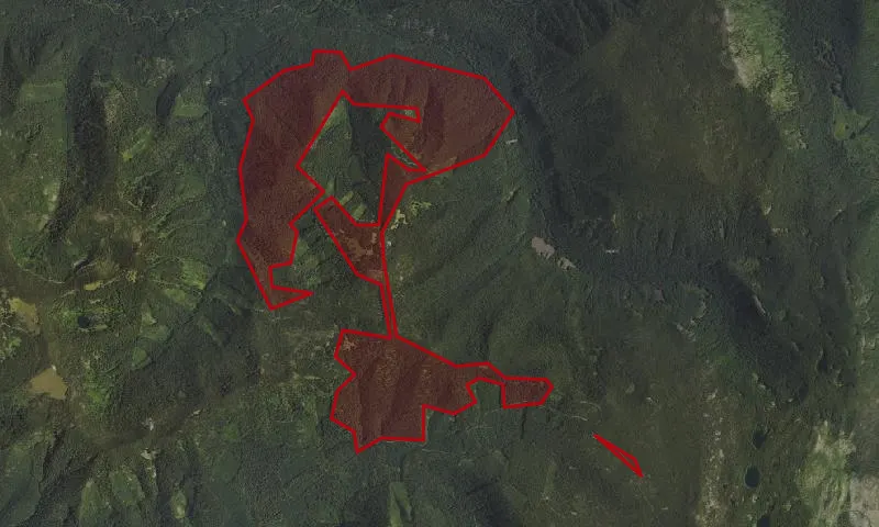 Waldo - Many Praries Roadless Area
