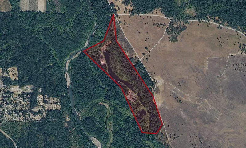 Nisqually Fish Hatchery At Clear Creek