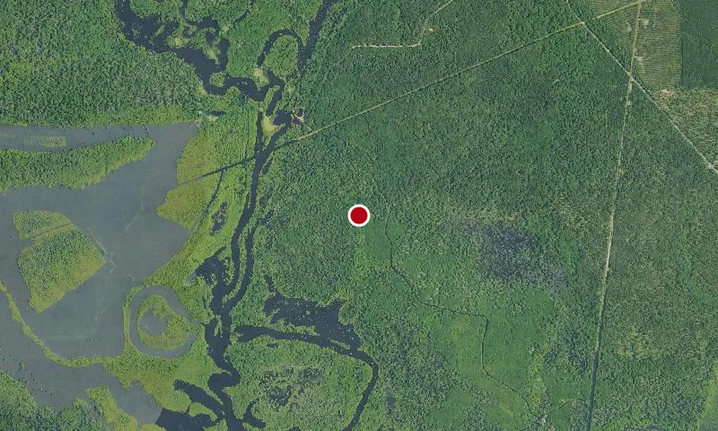 Louisiana Wetland Management District