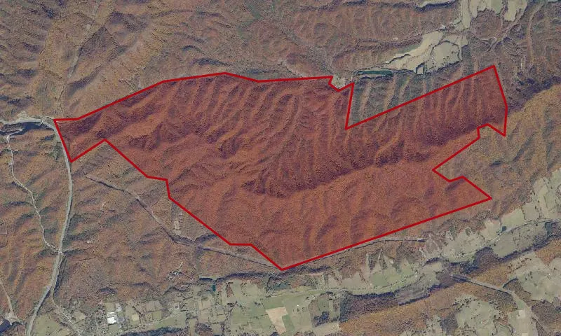 Brushy Mountain Roadless Area