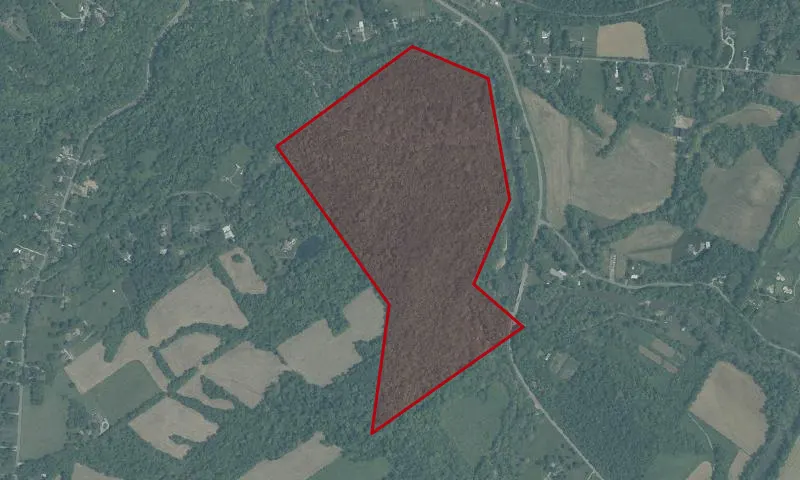 Wilson Nature Preserve