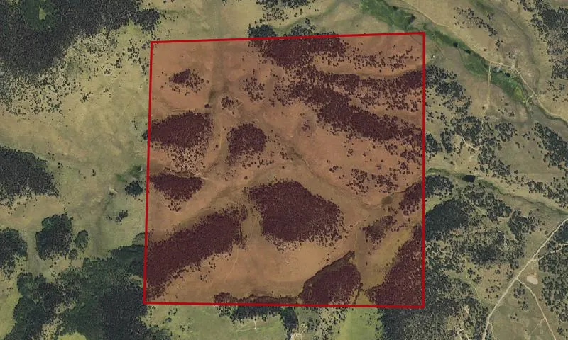 Guffey Grassland