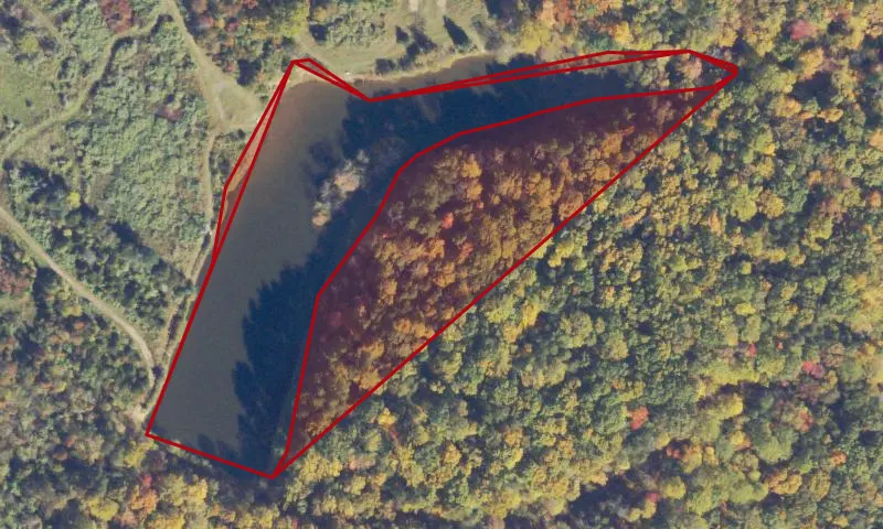 Phelps Pond Public Fishing Lake