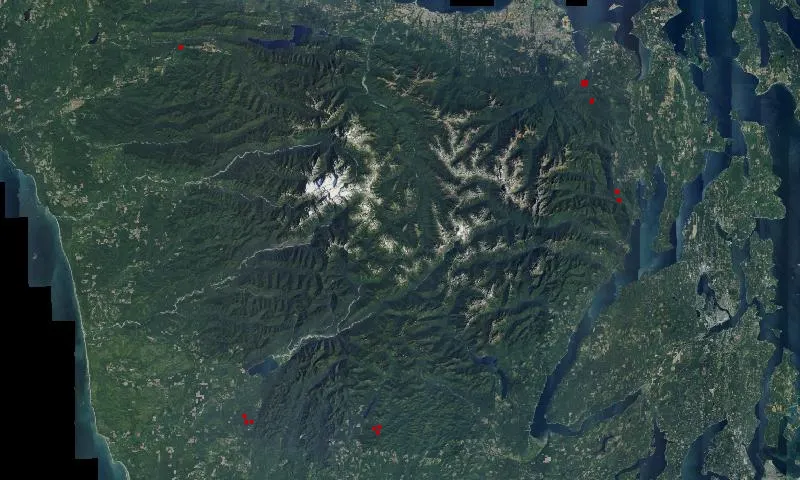 Selective Logging Plots Experimental Research Area