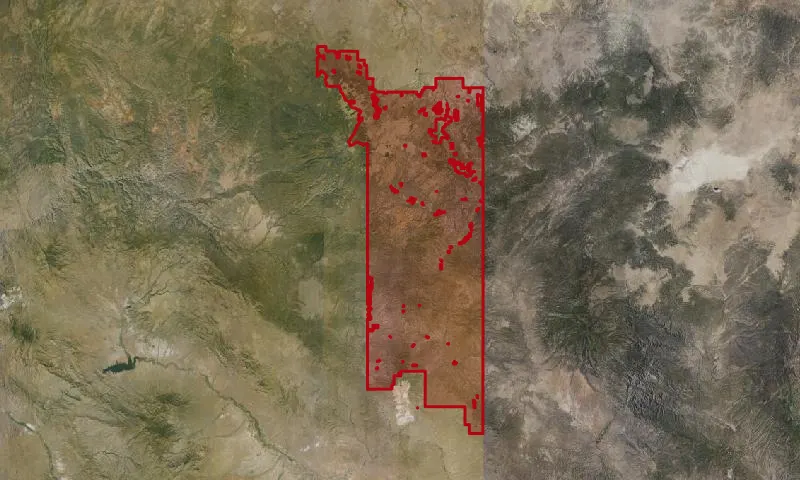 Apache National Forest