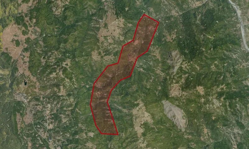 Woodman Creek