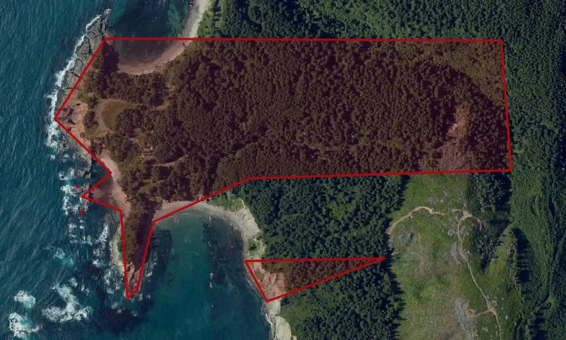 Cape Arago State Park